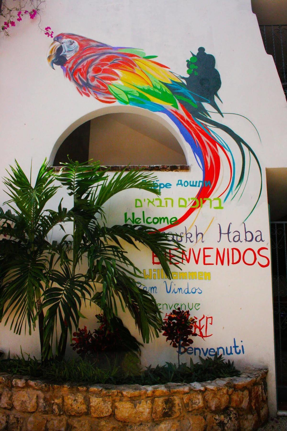 The Yak Hostel Playa del Carmen Exterior foto